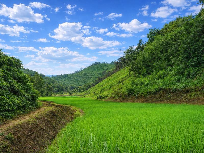 2-Day Karen Homestay: Authentic Cultural Immersion in Chiang Rai