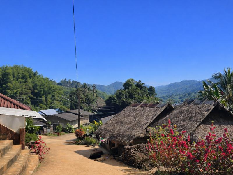 Chiang Rai 1-Day Forest Trekking Tour – Pure Walking Adventure