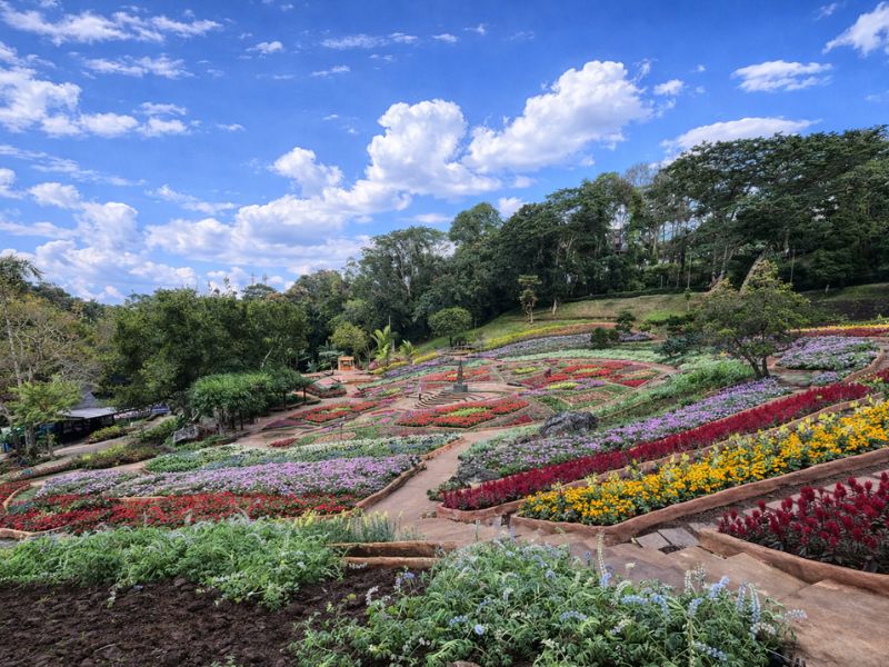 Chiang Rai Mountains Discovery: Doi Mae Salong & Doi Tung Day Tour